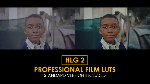 HLG2 Professional Film and Standard Luts