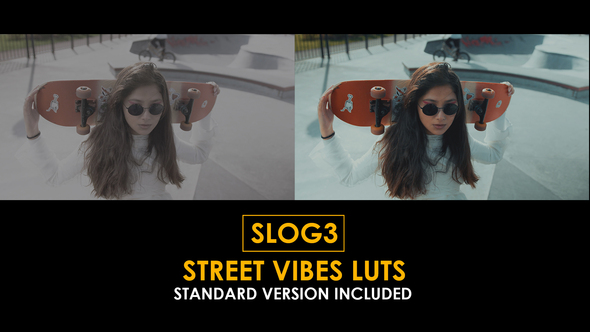 Slog3 Street Vibes and Standard LUTs