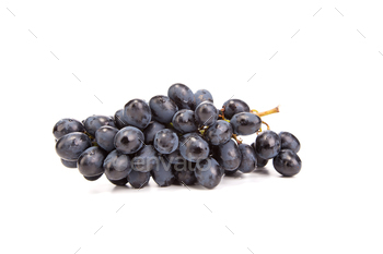 Branch of black ripe grapes.