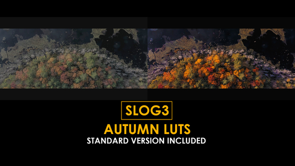 Slog3 Autumn and Standard LUTs