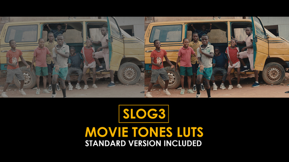 Slog3 Movie Tones and Standard LUTs