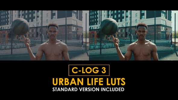 Canon C-Log3 Urban Life and Standard Color LUTs alt