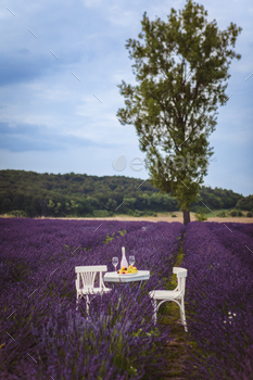 romantic date on lavender field
