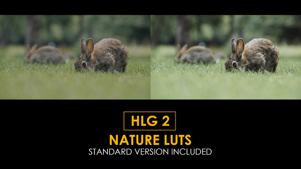 HLG2 Nature and Standard Luts