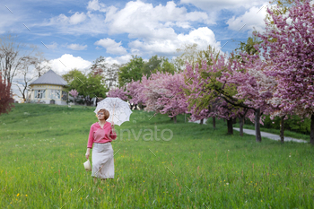 woman in a pink blouse with a white umbrella on the lawn along a row of blooming pink sakura