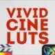 Vivid Cine LUTs | FCPX & Apple Motion - VideoHive Item for Sale