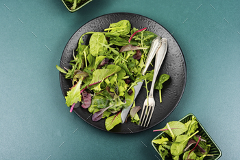 Vegan green salad, diet menu.
