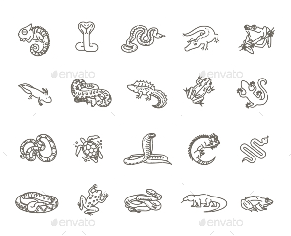 Reptiles and Amphibians Icons Set