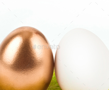gold with white egg