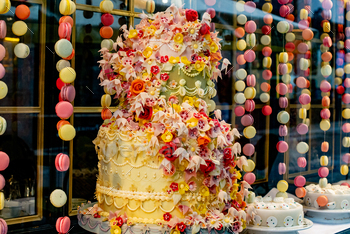 Vibrant cake showcased in a window display beside a wall.