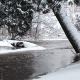 Winter & Snow - Pack Three - VideoHive Item for Sale
