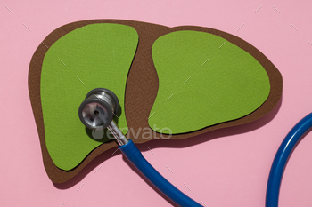Paper mockup of liver and stethoscope on pink background, close up