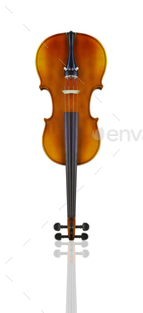 violin isolated on white background