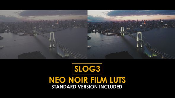 Slog3 Neo Noir Film and Standard LUTs