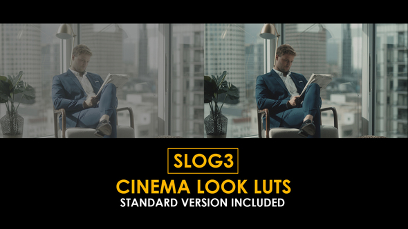 Slog3 Cinema Look and Standard LUTs