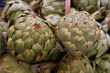 Green fresh globe artichokes on market stall