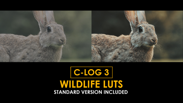 C-Log3 Wildlife and Standard LUTs