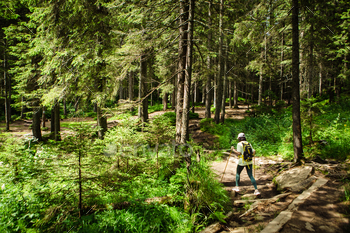 Tourist in the forest with a backpack