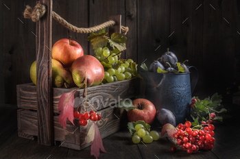 Ripe autumn fruits