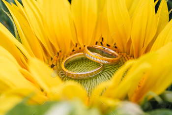 beautiful wedding rings in a good light.
