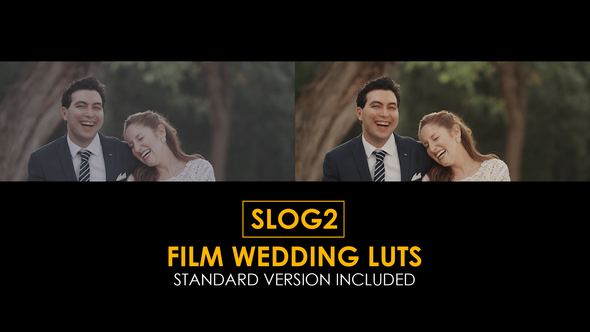 Slog2 Film Wedding and Standard Color Luts