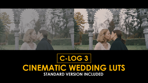 C-Log3 Cinematic Wedding and Standard Color LUTs alt