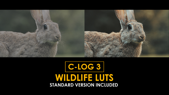 C-Log3 Wildlife and Standard Color LUTs alt