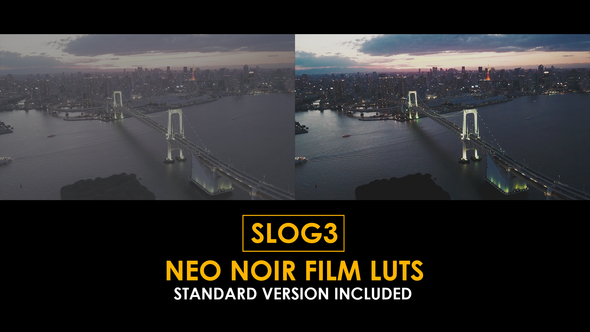 Slog3 Neo Noir Film and Standard Color LUTs alt