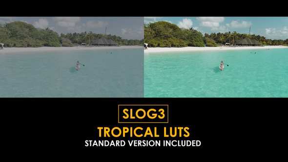 Slog3 Tropical and Standard Color LUTs