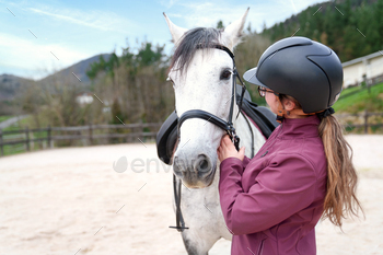 Connecting with a Graceful Equine Friend