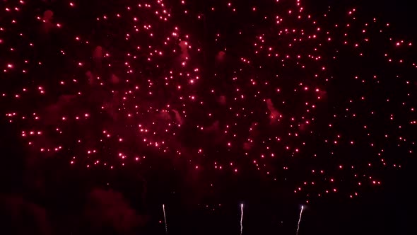 Colorful Firework display at night on sky background