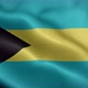 Bahamas Flag Front - VideoHive Item for Sale