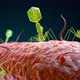 Bacteriophage Virus Attacking a Bacterium - VideoHive Item for Sale