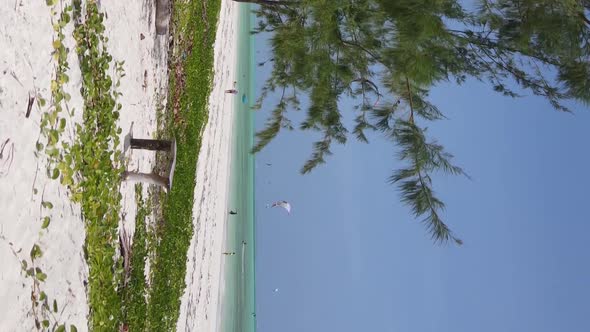 Zanzibar Tanzania  Vertical Video Kitesurfing Near the Shore of Ocean Slow Motion