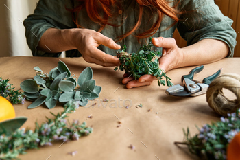 Herbal medicine. Woman's hands preparing eco friendly medicinal herbs for drying.