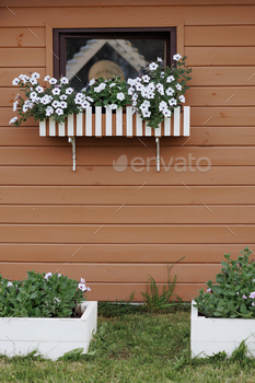Decorated window flower in brown wall.