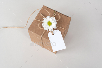 Kraft box with blank label, price tag, gift wrap, top view, tag mockup