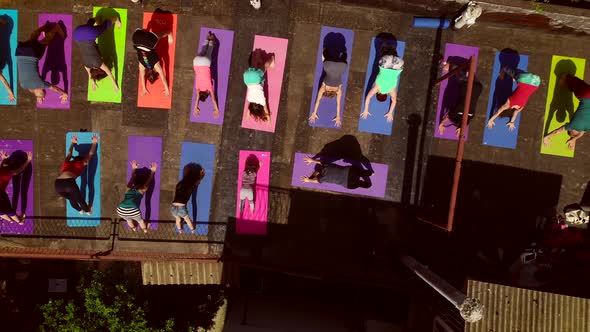 Aerial view of a group of people doing yoga on a terrace surrounded by trees.