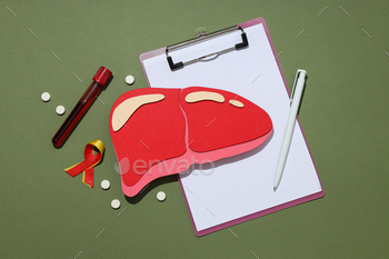 Paper mockup of liver and folder on green background, top view