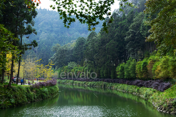 Beautiful view of the Sun link sea forest recreation area in Nantou, Taiwan