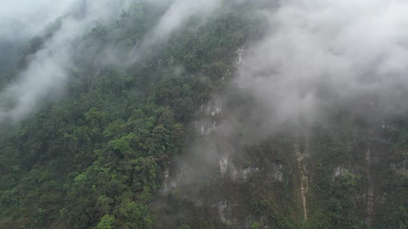 Aerial view of the mexican jungle during a foggy morning