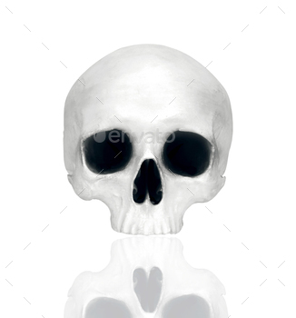 close up of a skeleton