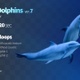 Two Dolphins 7 - VideoHive Item for Sale