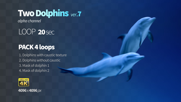 Two Dolphins 7 alt
