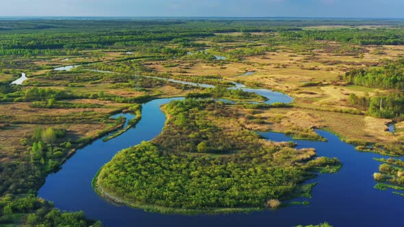 Aerial View Green Forest Woods And Curved River Landscape In Sunny Spring Day