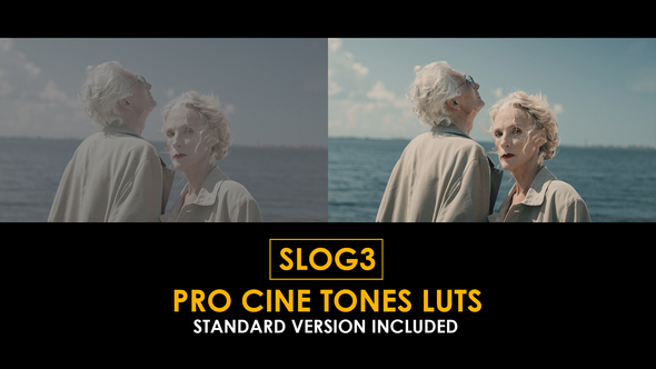 Slog3 Pro Cine Tones and Standard LUTs