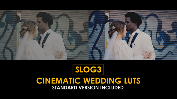 Slog3 Cinematic Wedding and Standard LUTs