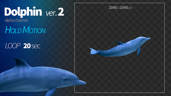 Dolphin 2 alt