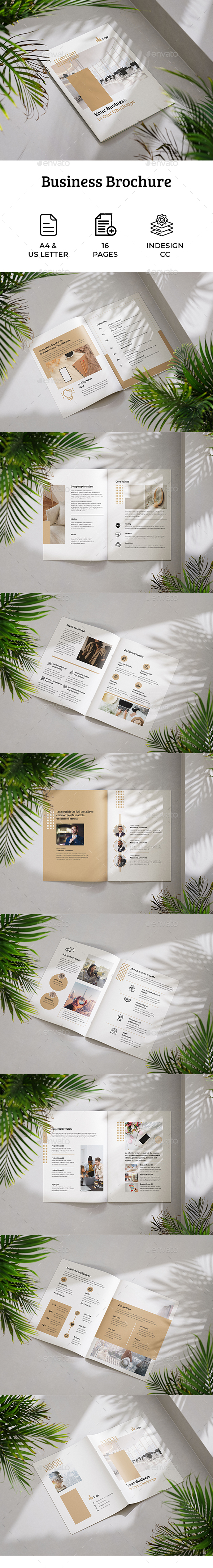 Business Brochure Template | Indesign