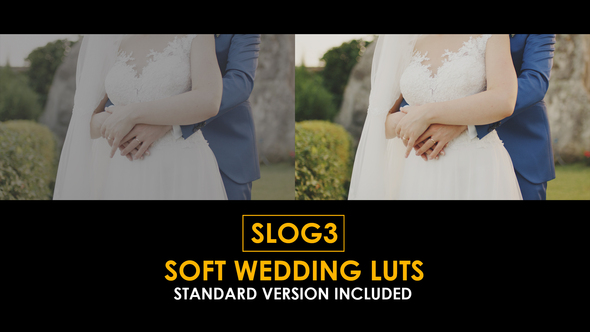 Slog3 Soft Wedding and Standard LUTs